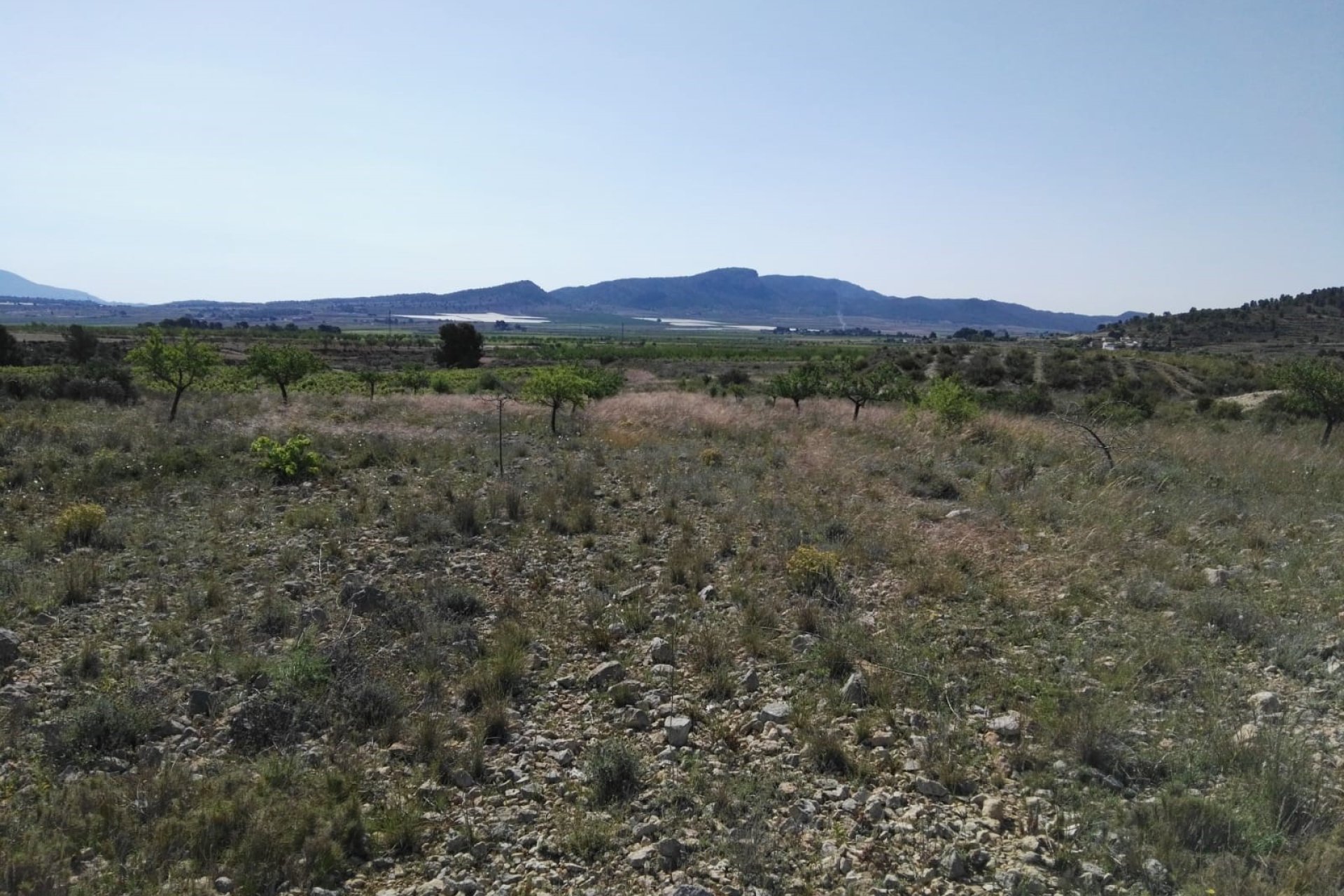 Segunda mano - Villa -
Monóvar/Monóver - Inland