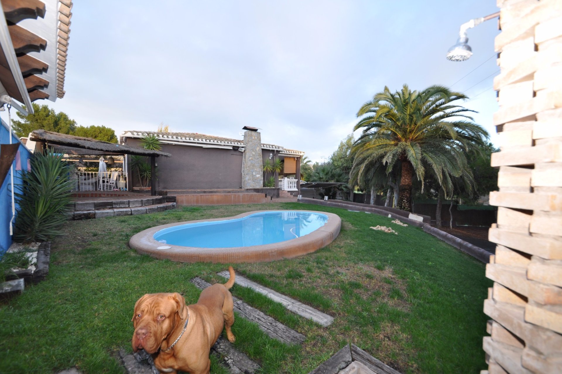 Segunda mano - Villa -
Monóvar/Monóver - Inland
