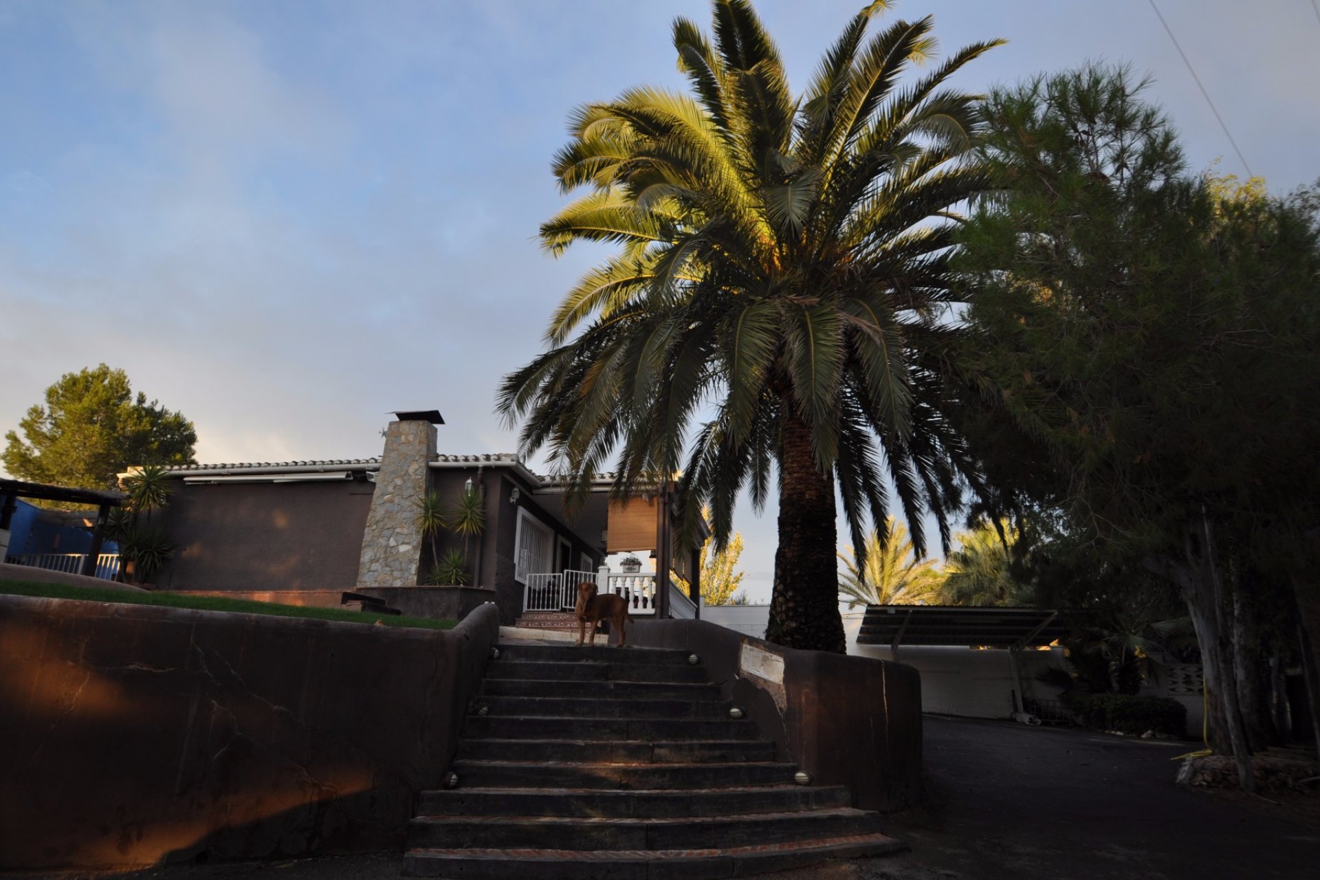 Segunda mano - Villa -
Monóvar/Monóver - Inland