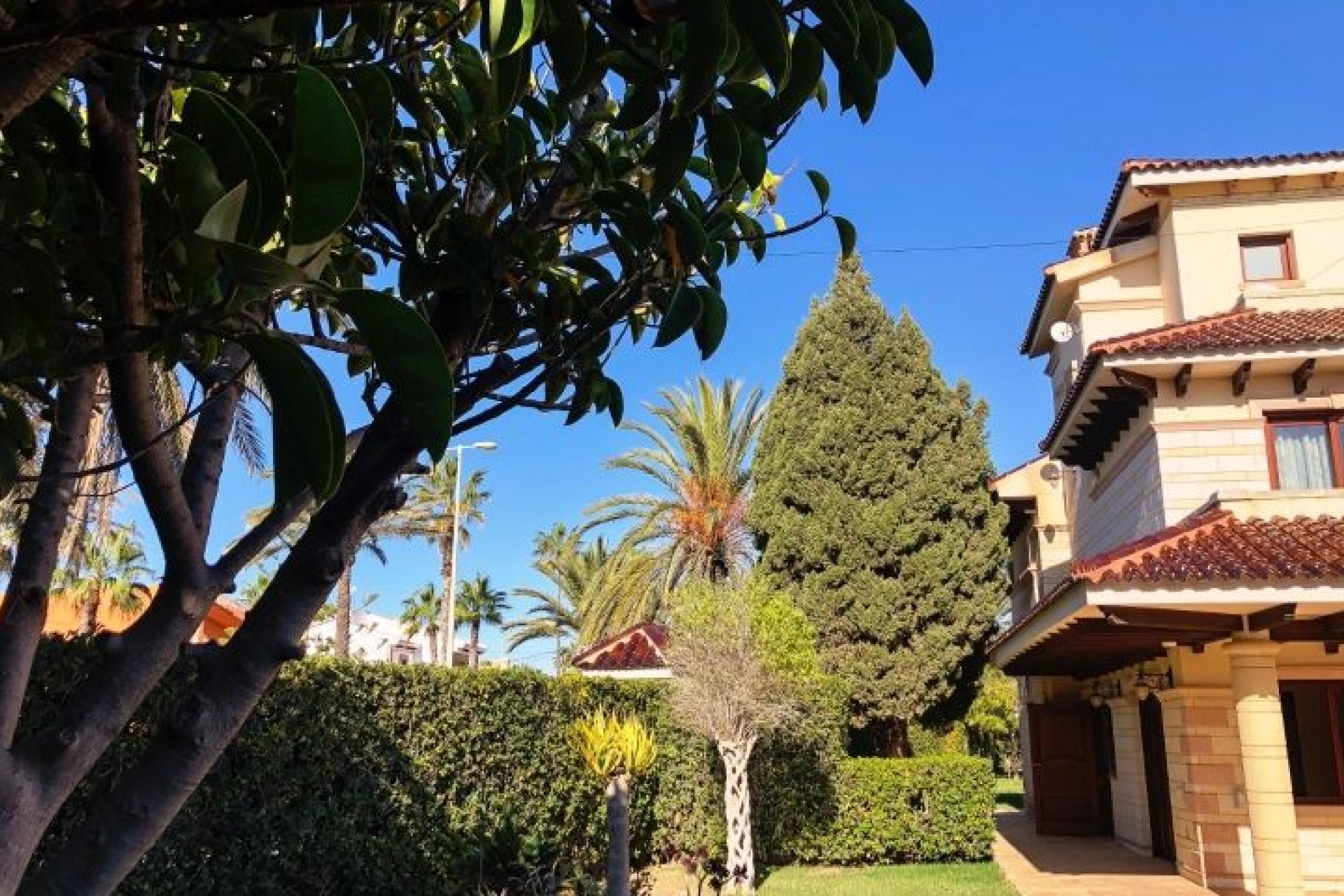 Segunda mano - Villa -
Orihuela Costa - Costa Blanca