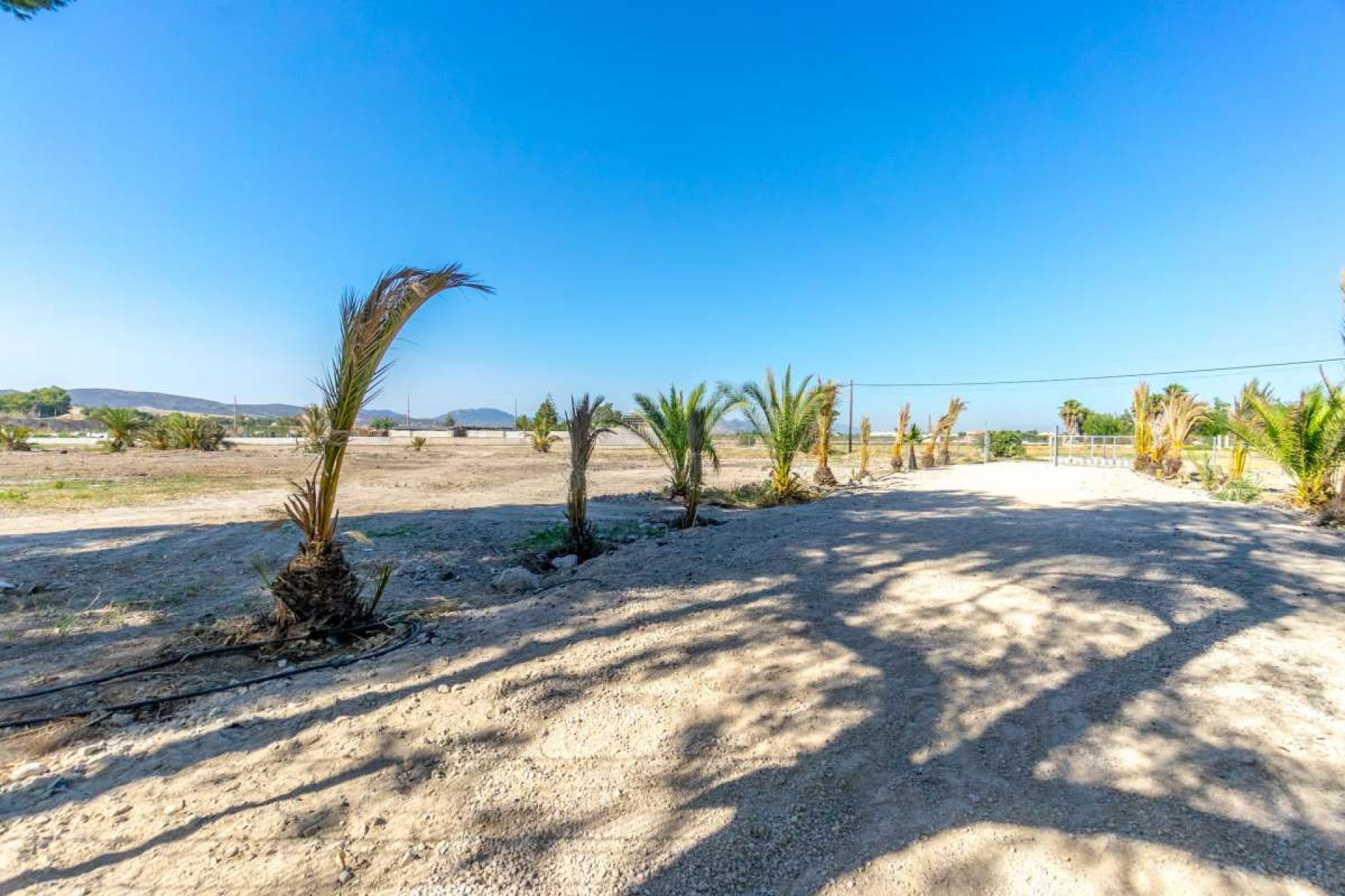 Segunda mano - Villa -
Orihuela - Inland