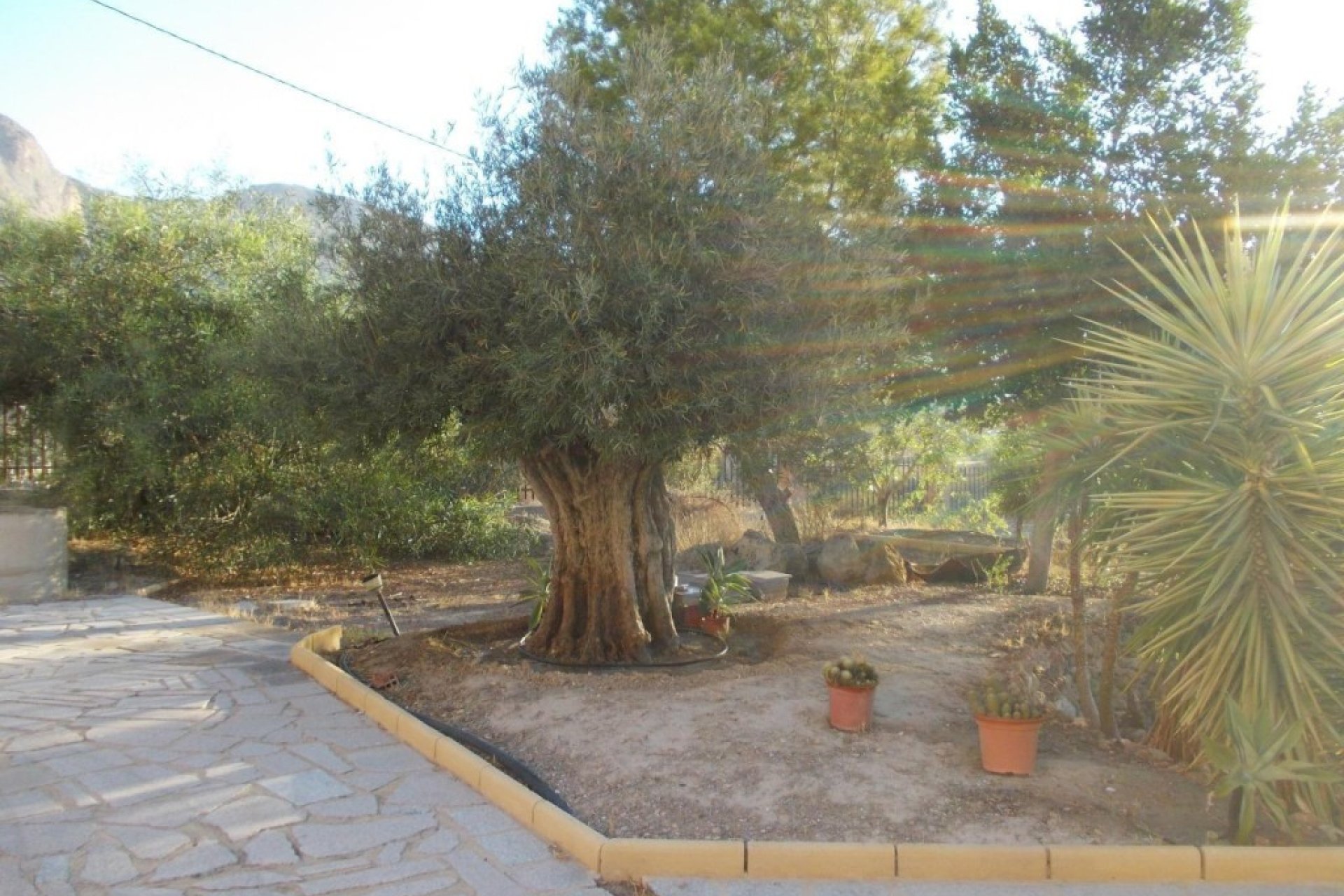 Segunda mano - Villa -
Orihuela - Inland