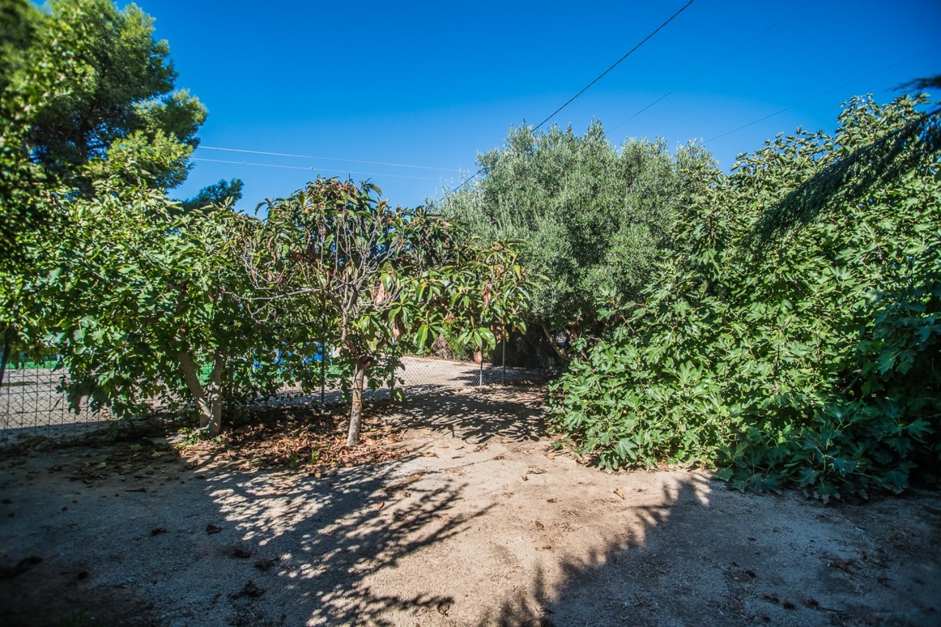 Segunda mano - Villa -
Orihuela - Inland