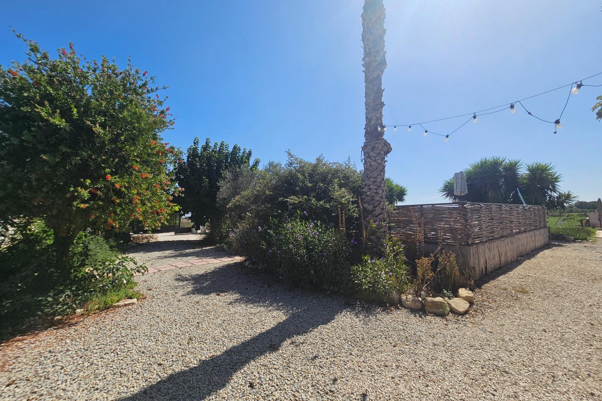 Segunda mano - Villa -
Orihuela - Molins-campaneta-san Bartolomé