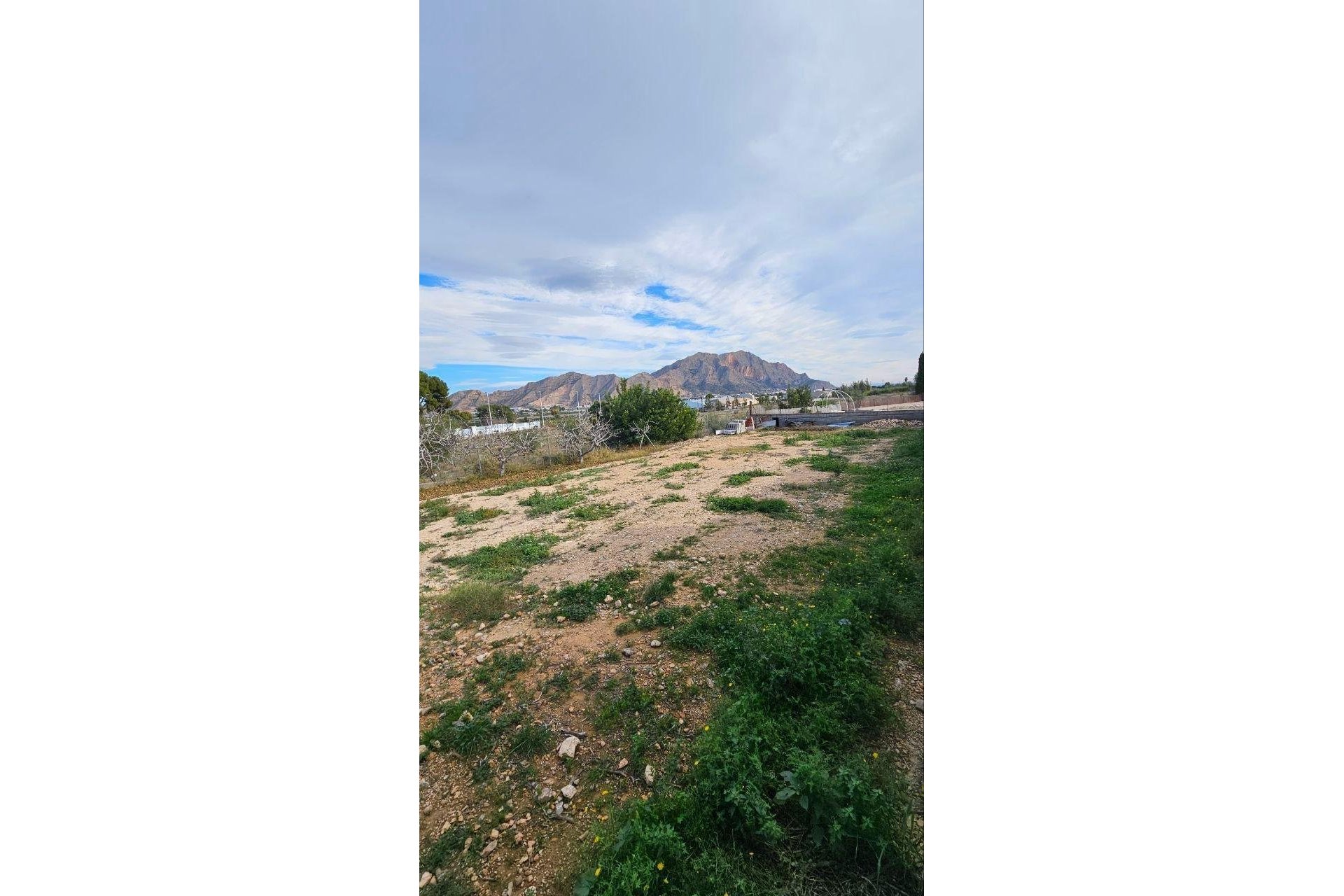 Segunda mano - Villa -
Orihuela - Urb. Montepinar