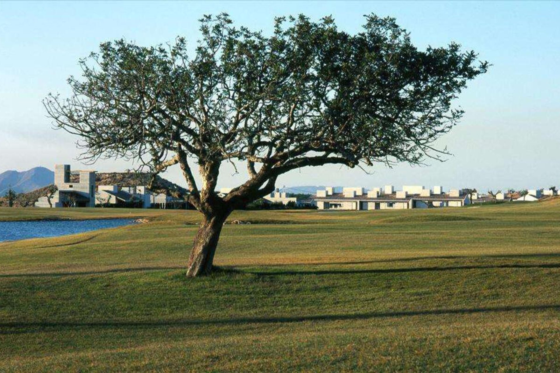 Segunda mano - Villa -
Peraleja Golf - Inland