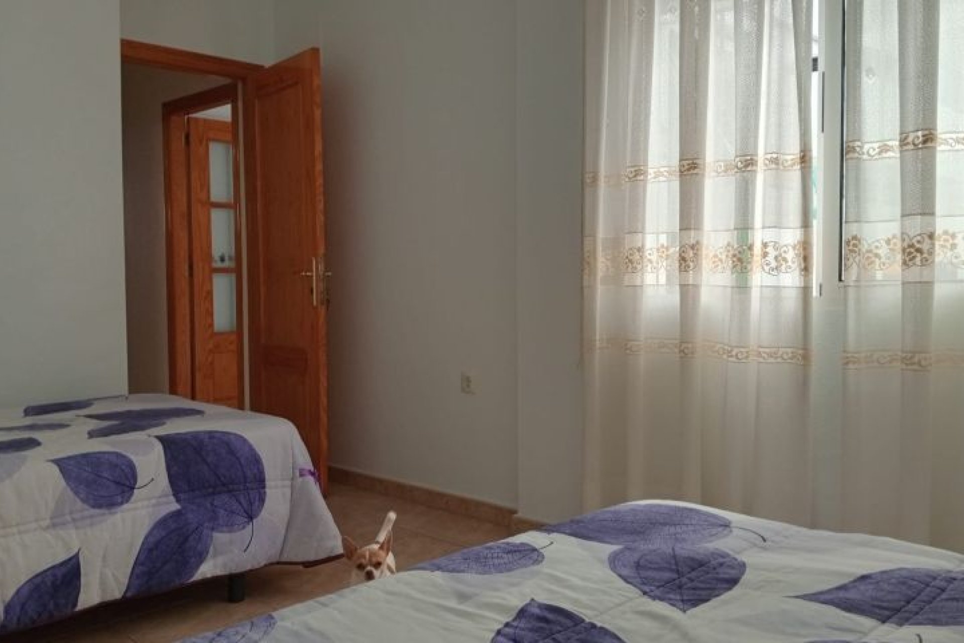 Segunda mano - Villa -
Pilar de la Horadada - Costa Blanca