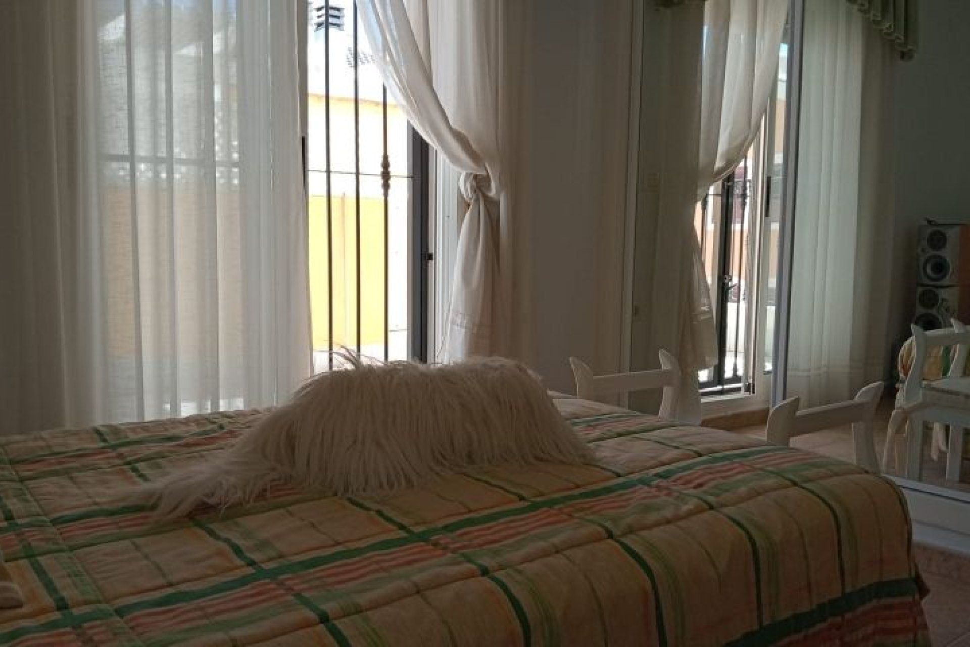 Segunda mano - Villa -
Pilar de la Horadada - Costa Blanca