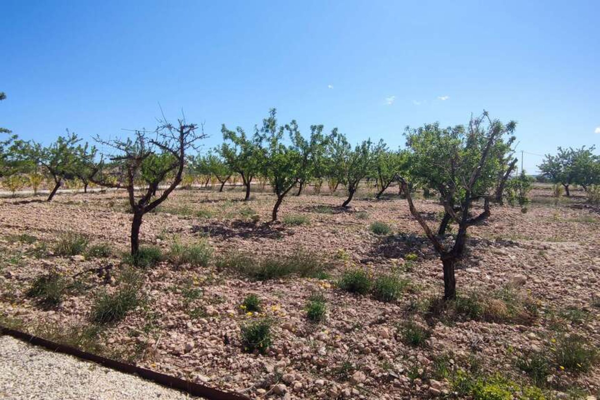 Segunda mano - Villa -
Pinoso - Inland