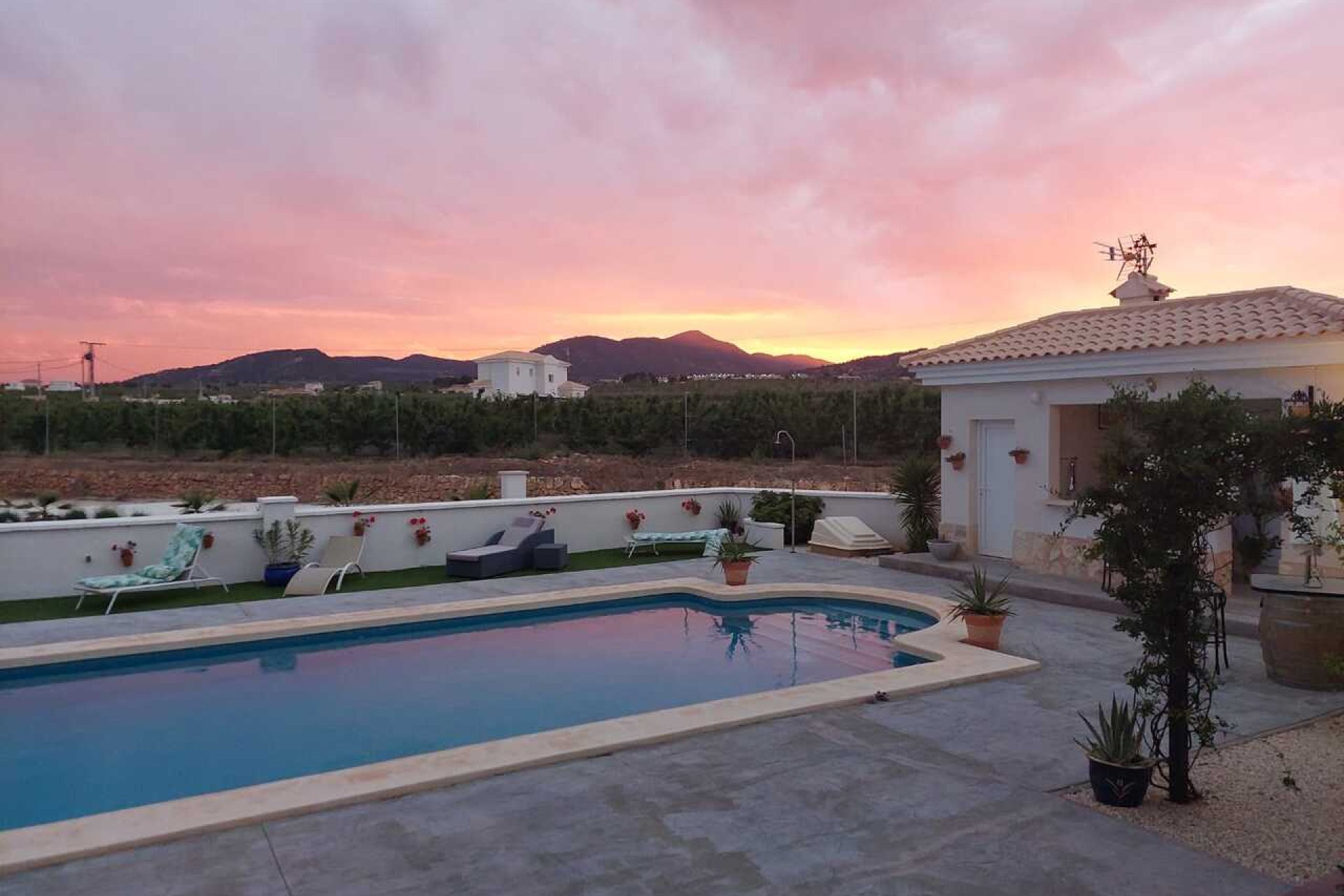 Segunda mano - Villa -
Pinoso - Inland