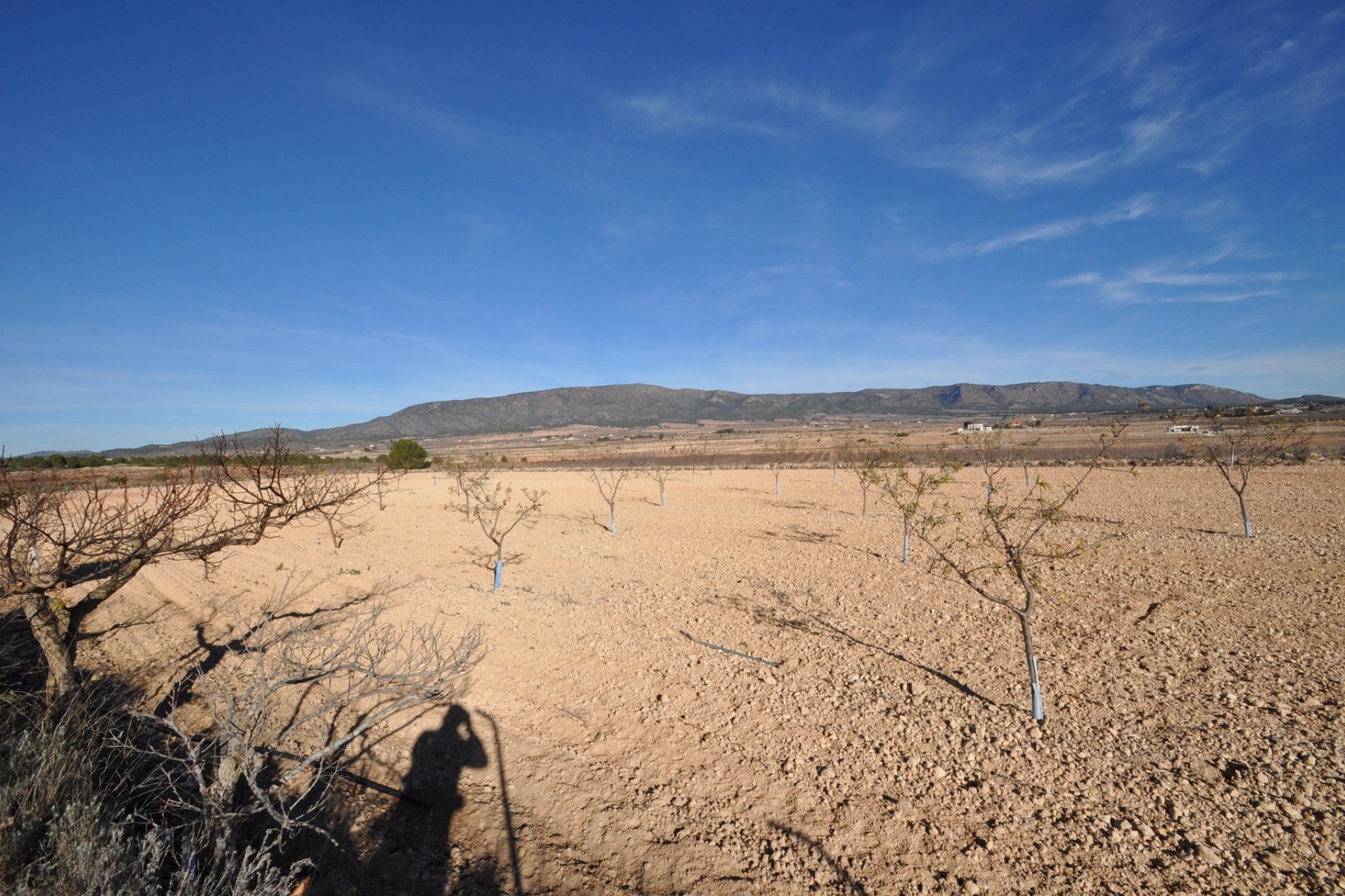 Segunda mano - Villa -
Pinoso - Inland