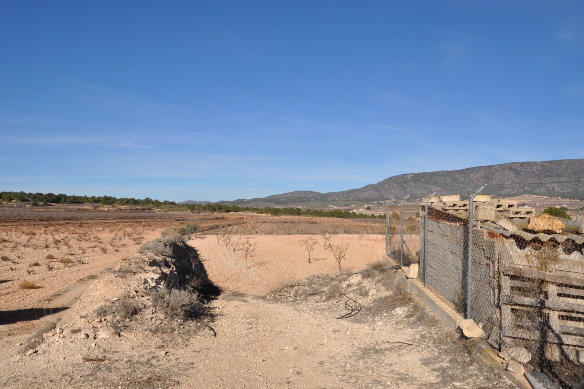 Segunda mano - Villa -
Pinoso - Inland