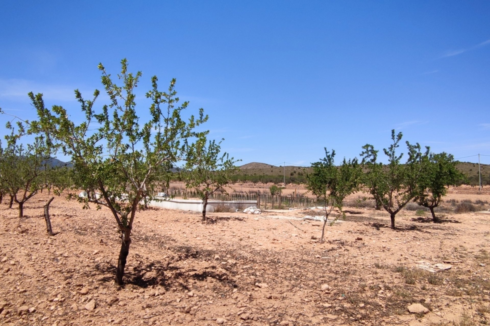Segunda mano - Villa -
Pinoso - Inland
