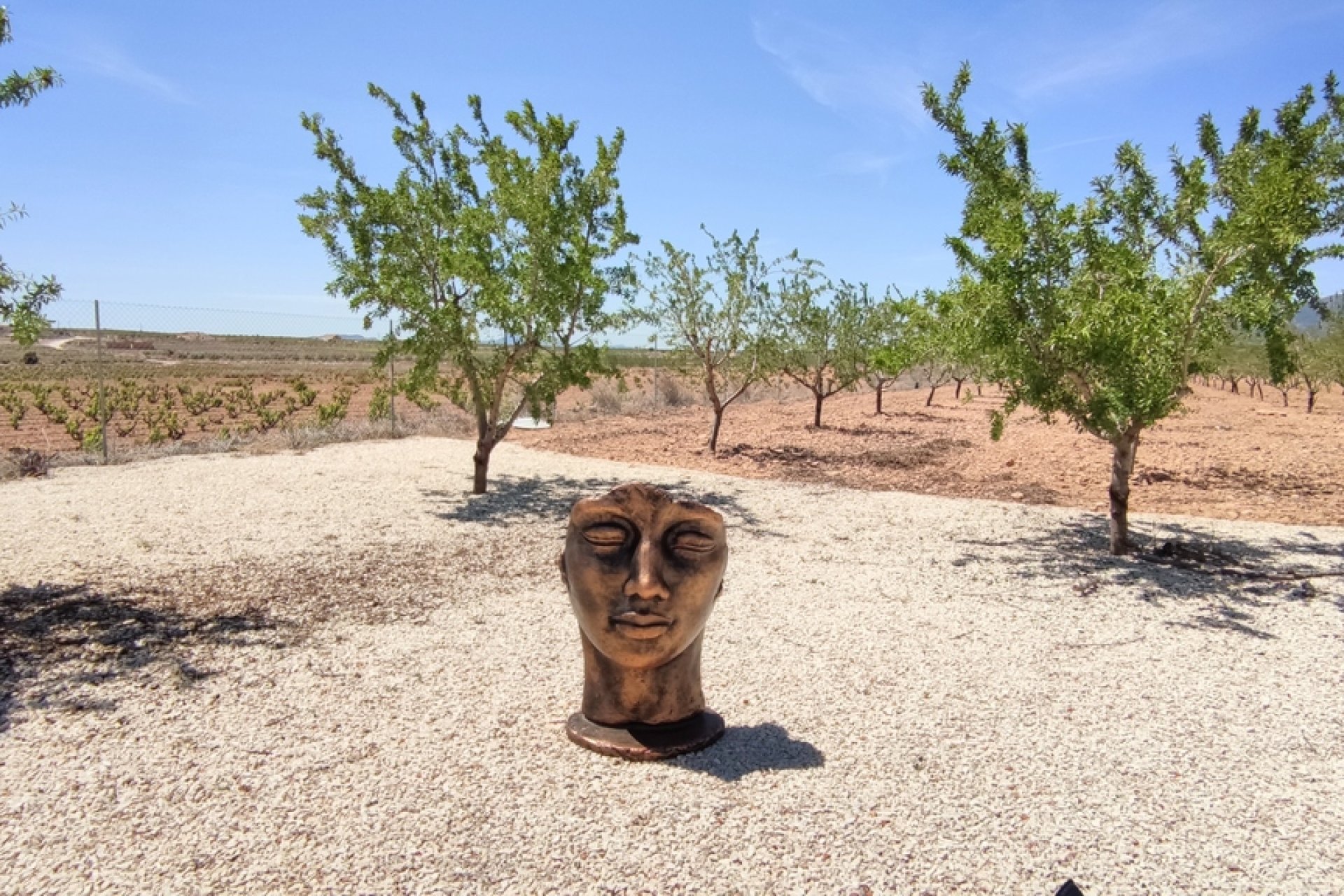 Segunda mano - Villa -
Pinoso - Inland
