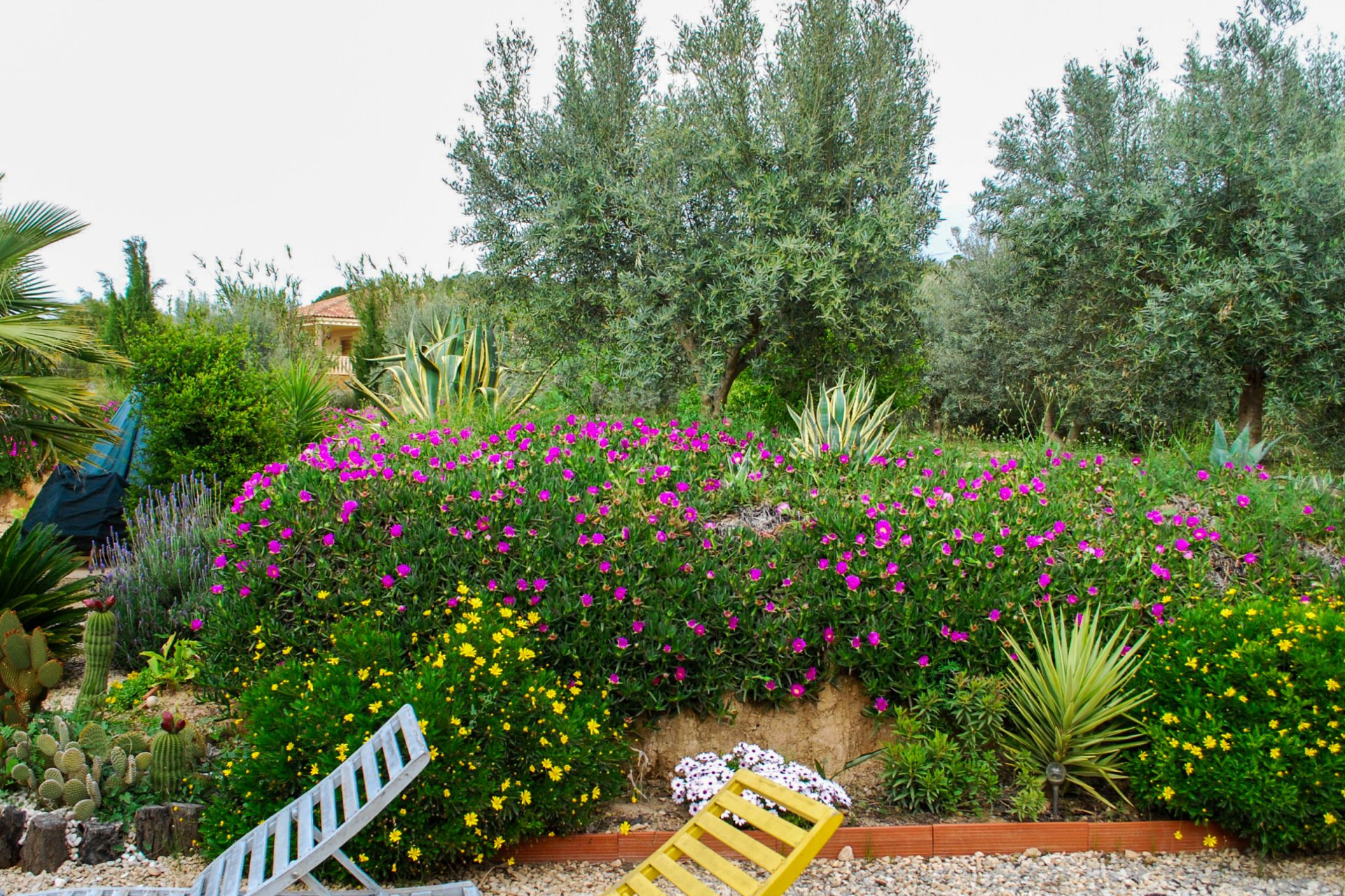 Segunda mano - Villa -
Pliego - Inland