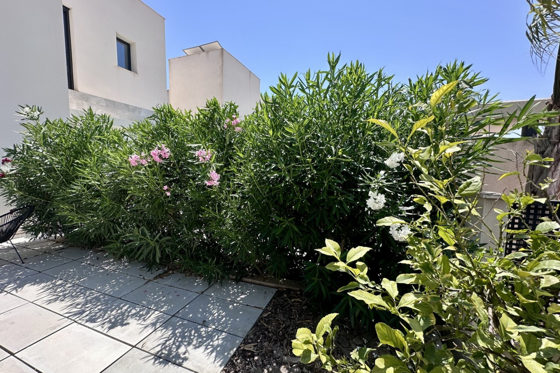 Segunda mano - Villa -
Rojales Hills - Costa Blanca