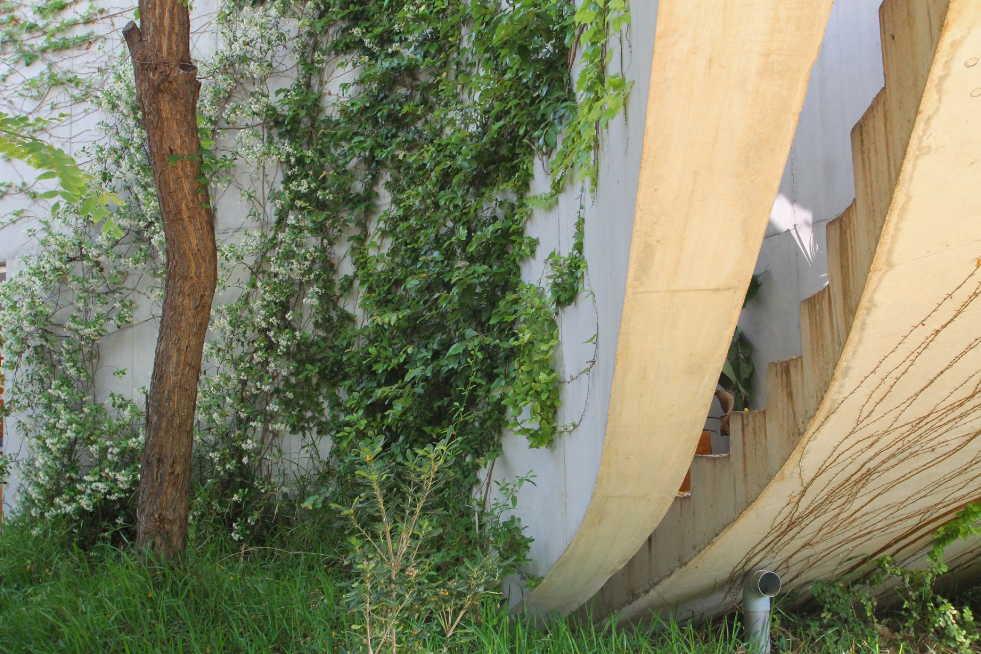 Segunda mano - Villa -
San Vicente del Raspeig - Inland