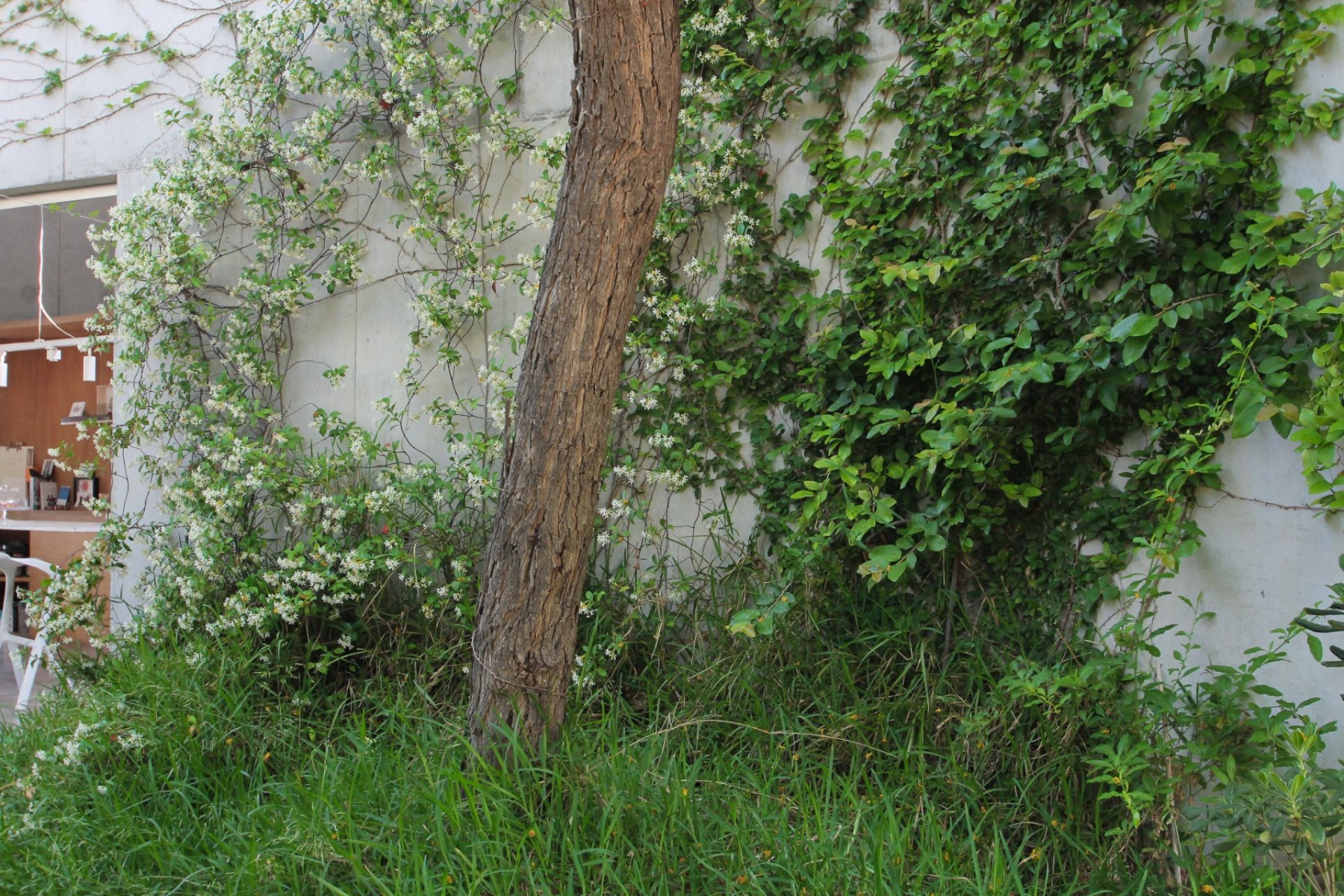 Segunda mano - Villa -
San Vicente del Raspeig - Inland