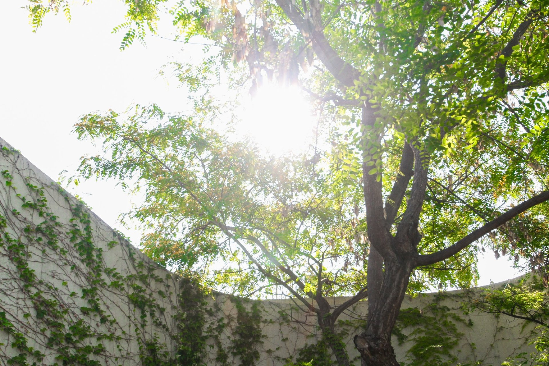 Segunda mano - Villa -
San Vicente del Raspeig - Inland