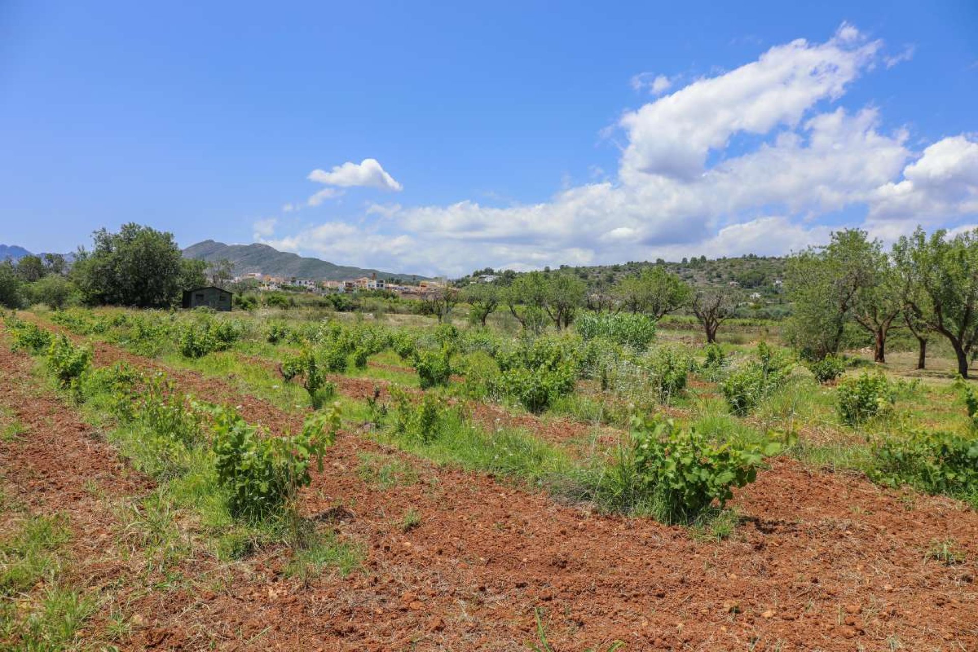 Segunda mano - Villa -
Senija - Inland