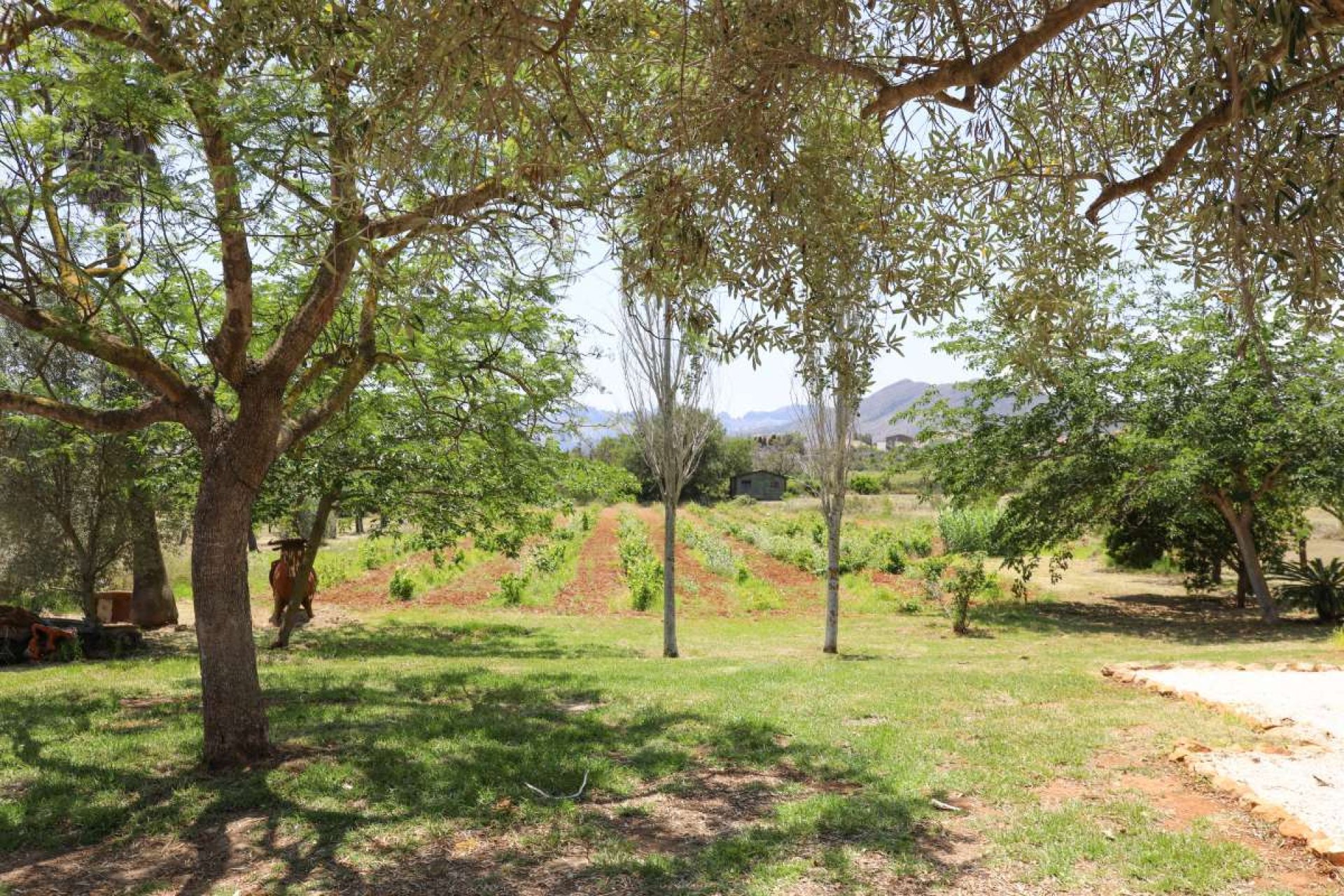 Segunda mano - Villa -
Senija - Inland