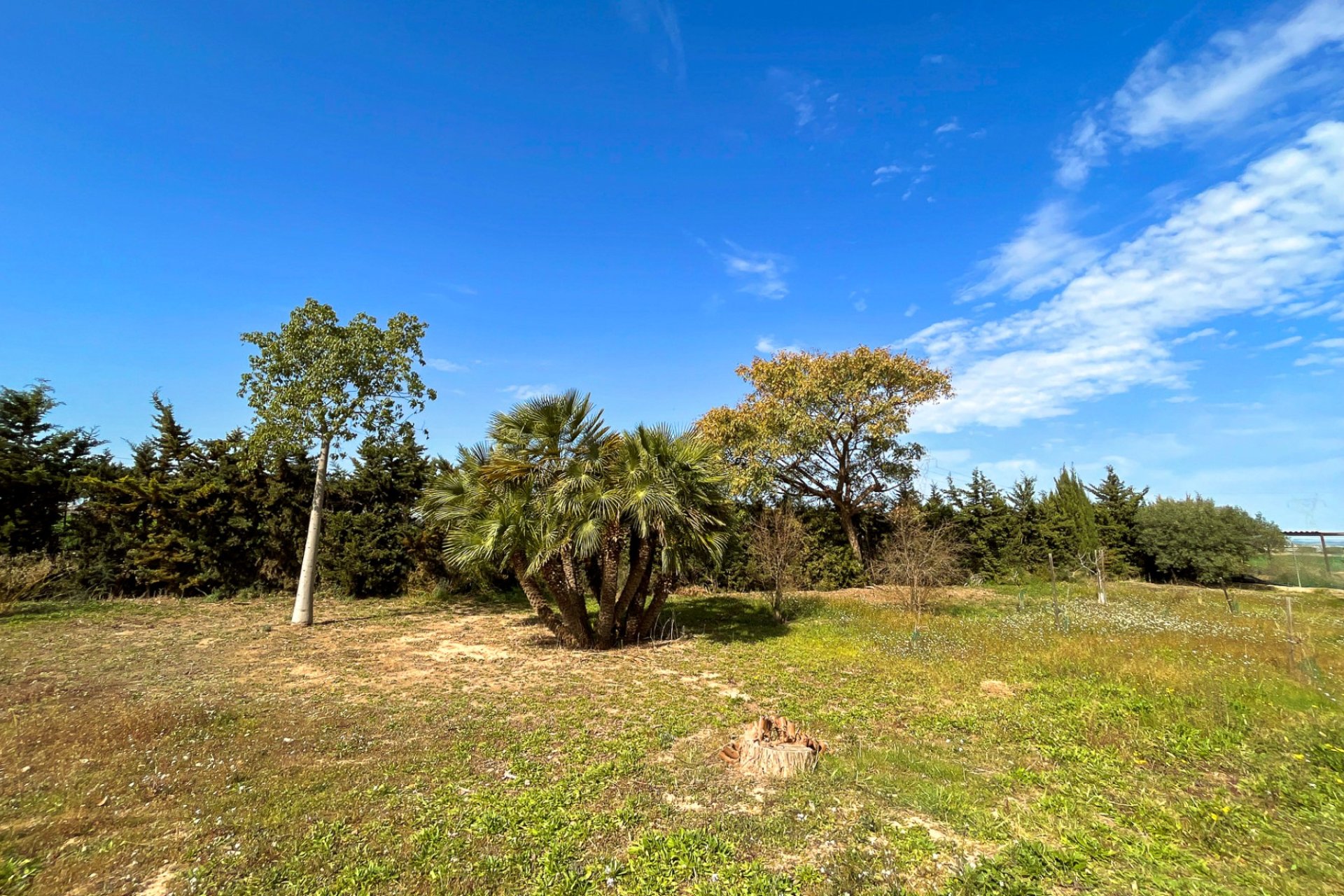 Segunda mano - Villa -
Torre Pacheco - Inland