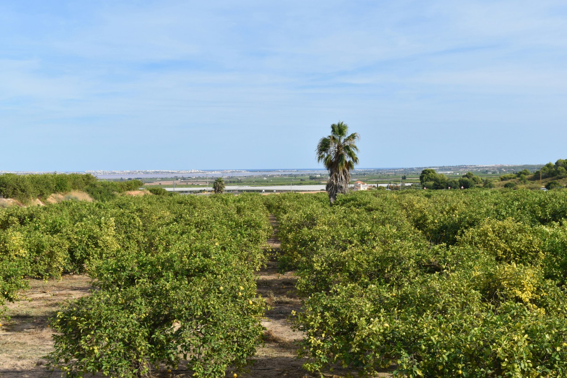 Segunda mano - Villa -
Torremendo - Costa Blanca
