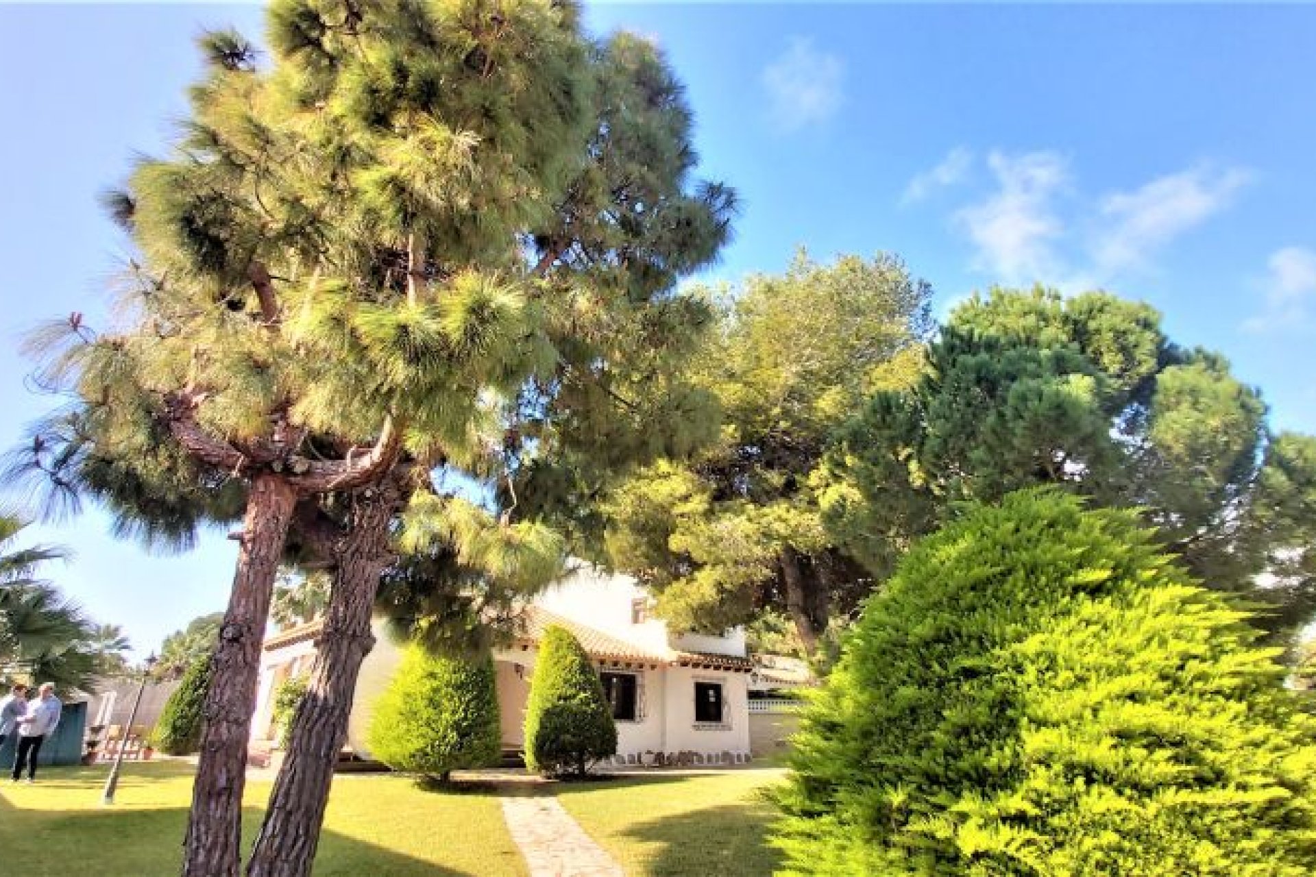 Segunda mano - Villa -
Torrevieja - Costa Blanca