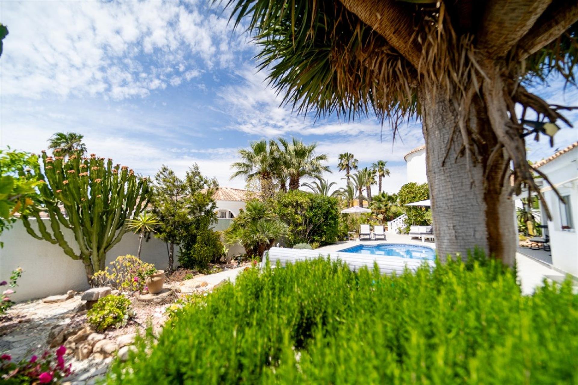 Segunda mano - Villa -
Torrevieja - Costa Blanca