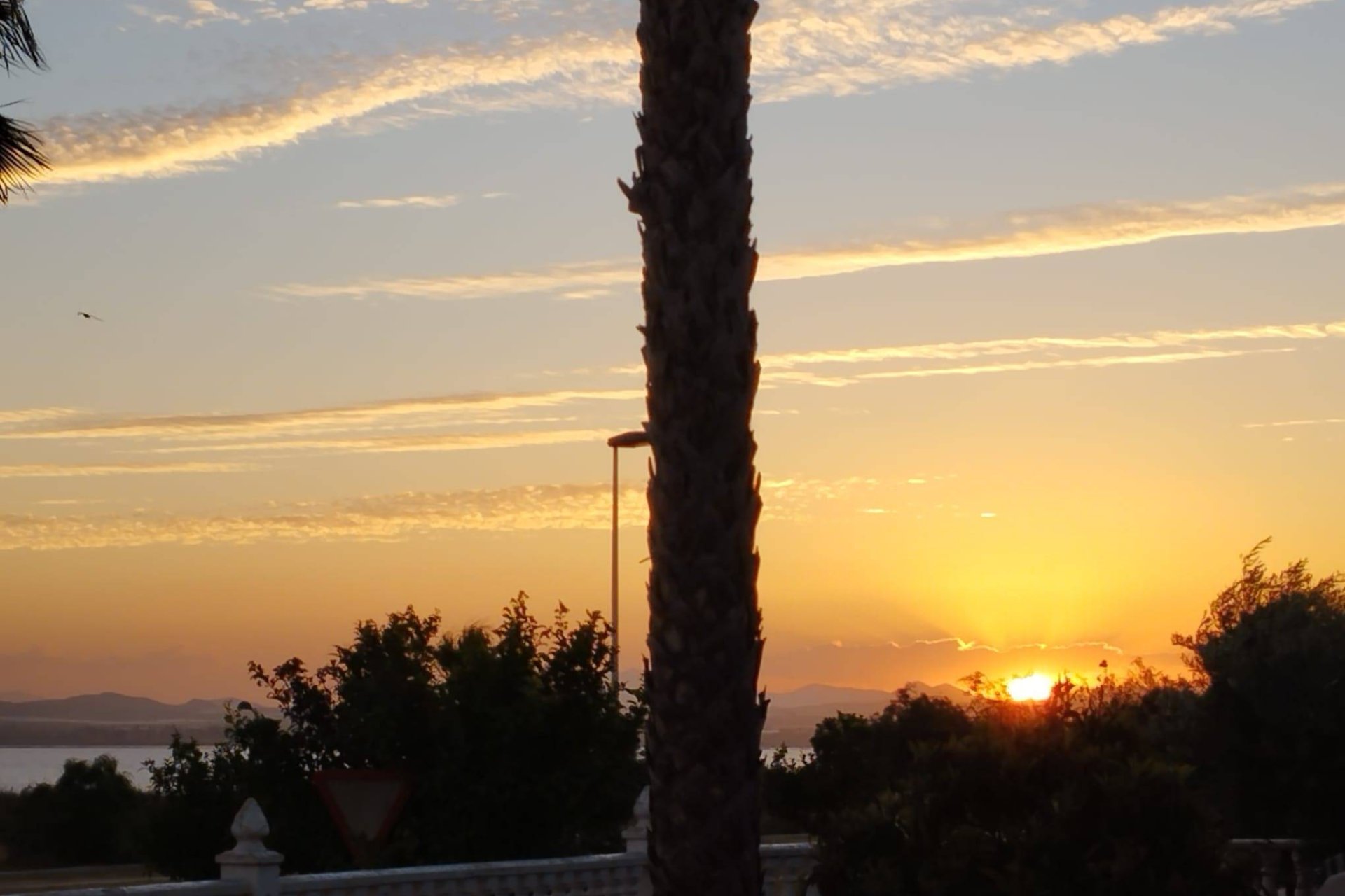Segunda mano - Villa -
Torrevieja - La Siesta - El Salado - Torreta
