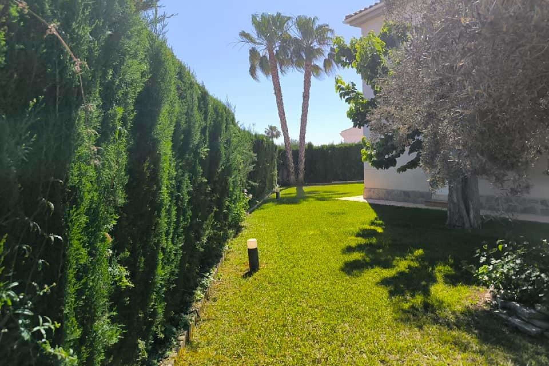 Segunda mano - Villa -
Torrevieja - La Siesta