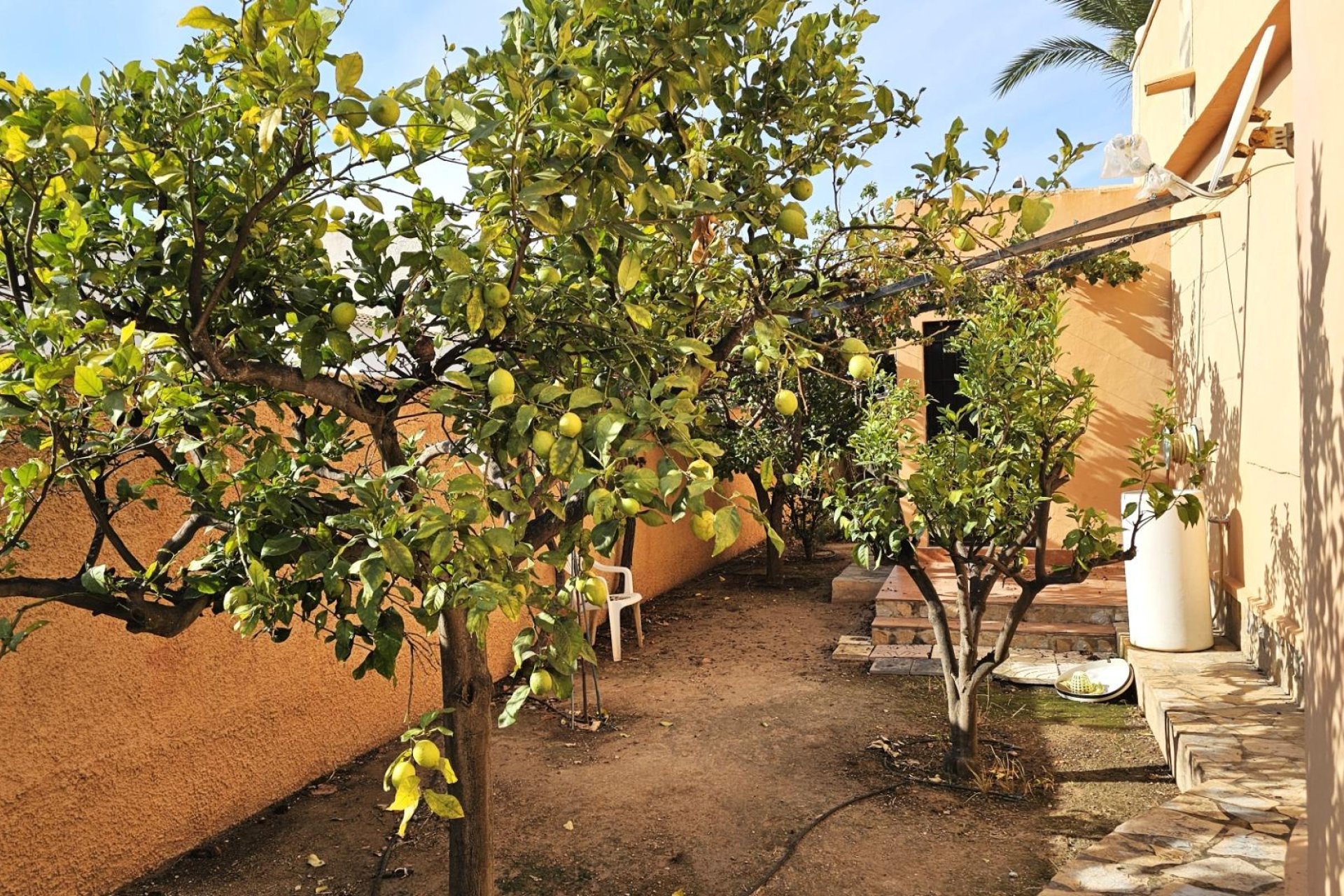 Segunda mano - Villa -
Torrevieja - San Luis