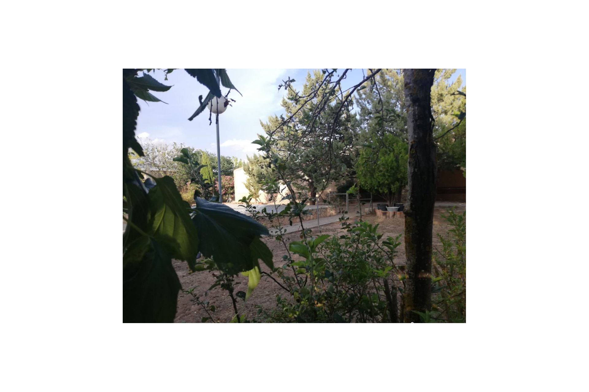 Segunda mano - Villa -
Yecla - Inland
