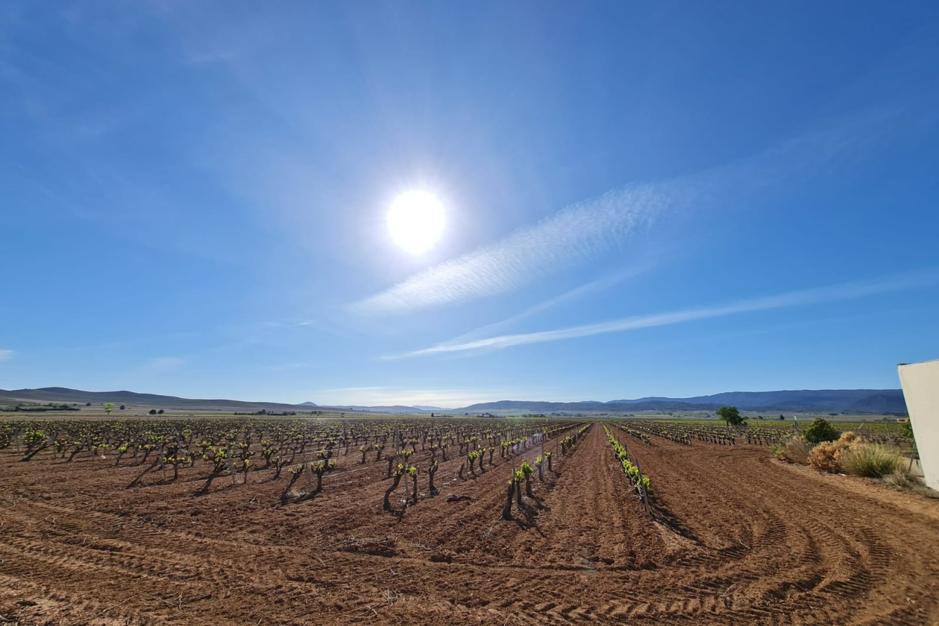 Segunda mano - Villa -
Yecla - Inland