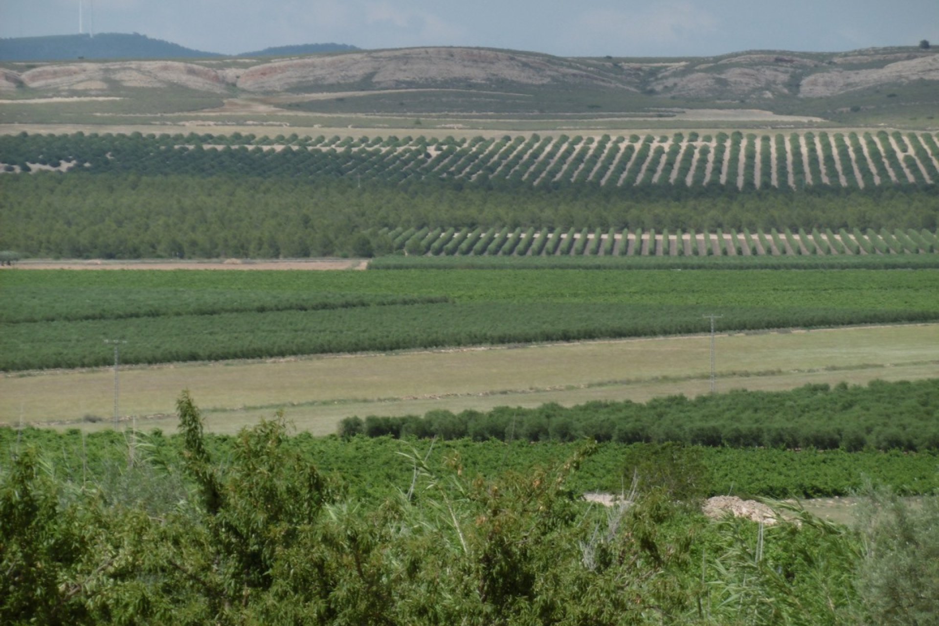 Segunda mano - Villa -
Yecla - Inland
