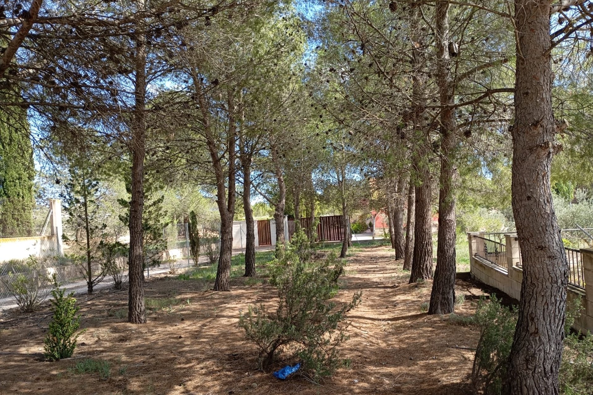 Segunda mano - Villa -
Yecla - Inland