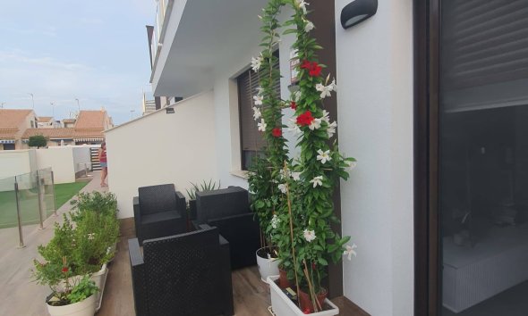 Semi Detached - Segunda mano - San Pedro del Pinatar -
                Centro