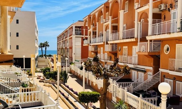 Sorház - Használt Ingatlanok - La Mata - Costa Blanca