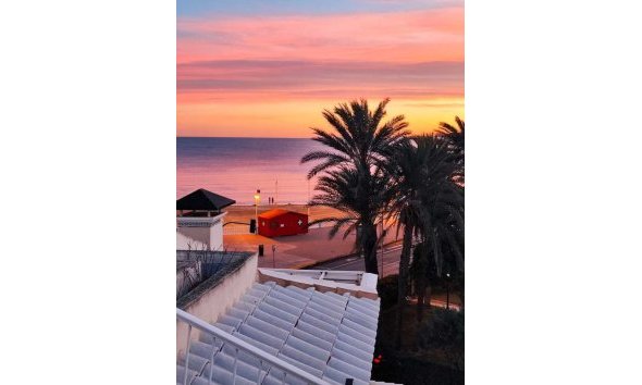 Tetőtéri lakás - Használt Ingatlanok - Torrevieja -
                Playa de los Locos