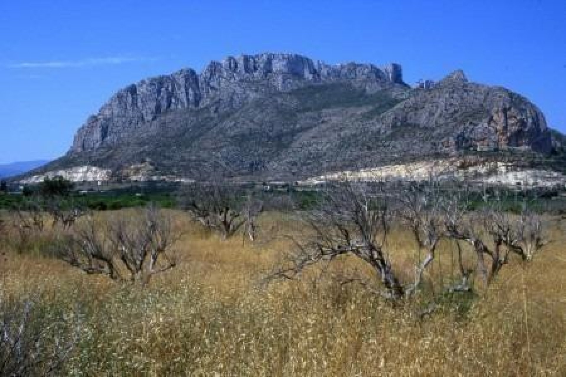 Új építésű - Apartman -
El Verger - Playa de La Almadraba