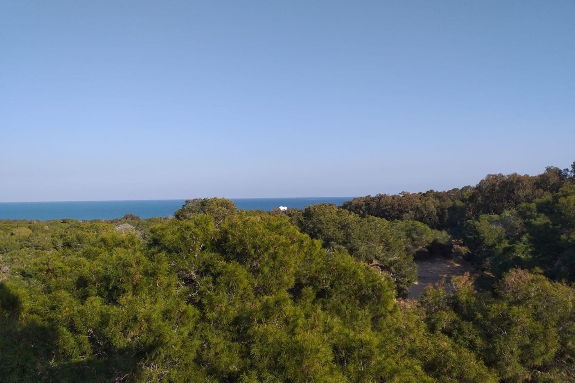 Új építésű - Apartman -
Guardamar del Segura - Pueblo