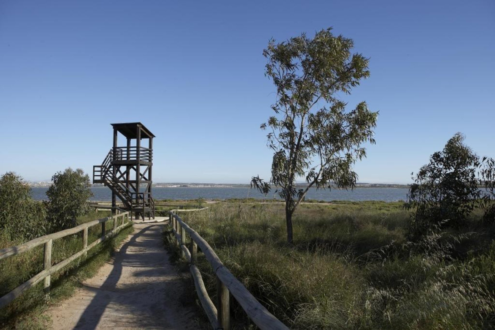 Új építésű - Apartman -
San Miguel de Salinas - Pueblo