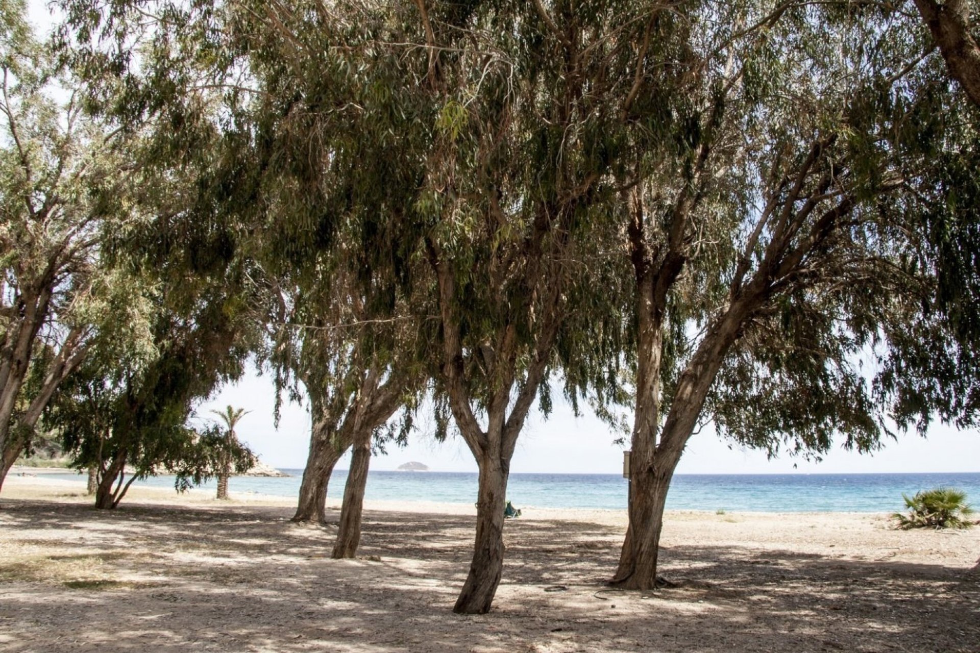 Új építésű - Apartman -
Villajoyosa - Playa Les Torres