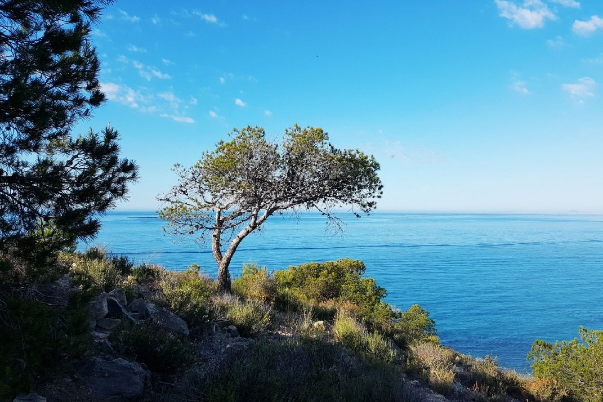 Új építésű - Apartman -
Villajoyosa - Playa Les Torres