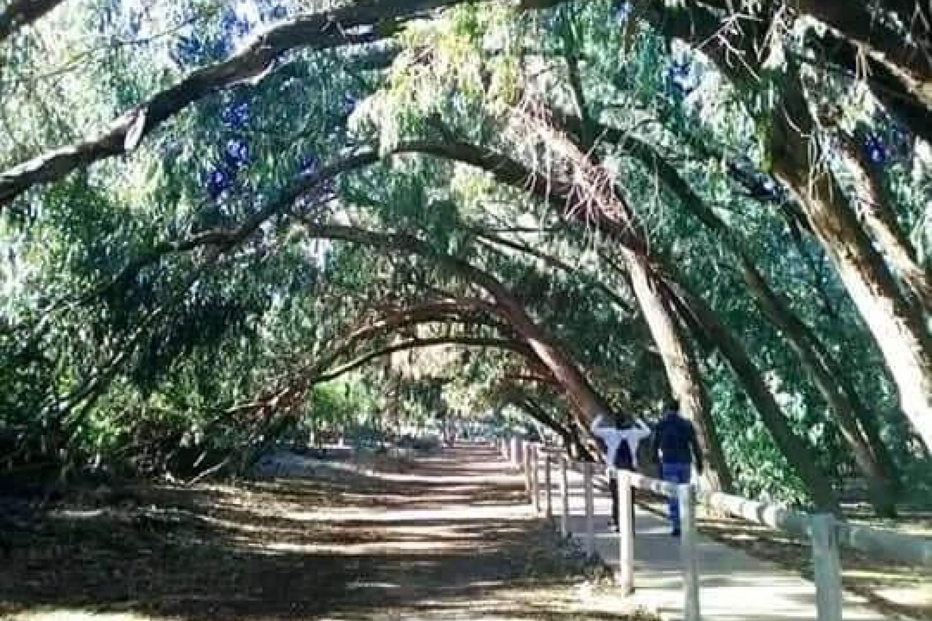 Új építésű - Bungaló -
Torrevieja - Altos del Sol