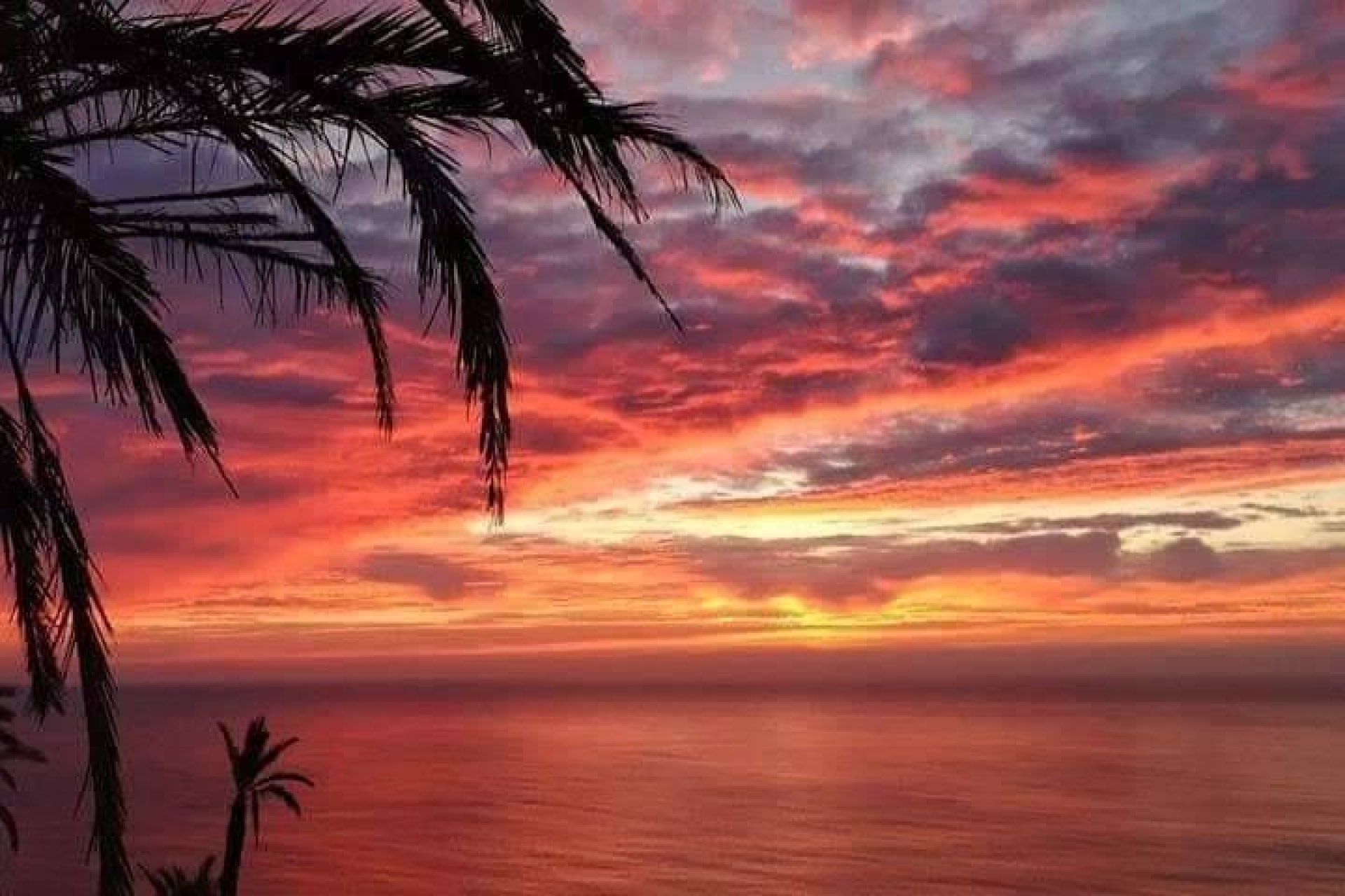 Új építésű - Bungaló -
Torrevieja - Altos del Sol