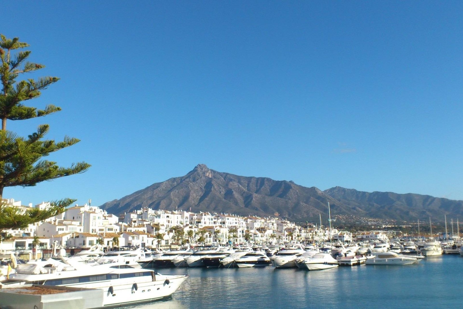 Új építésű - Tetőtéri lakás -
Marbella - Nueva Andalucia