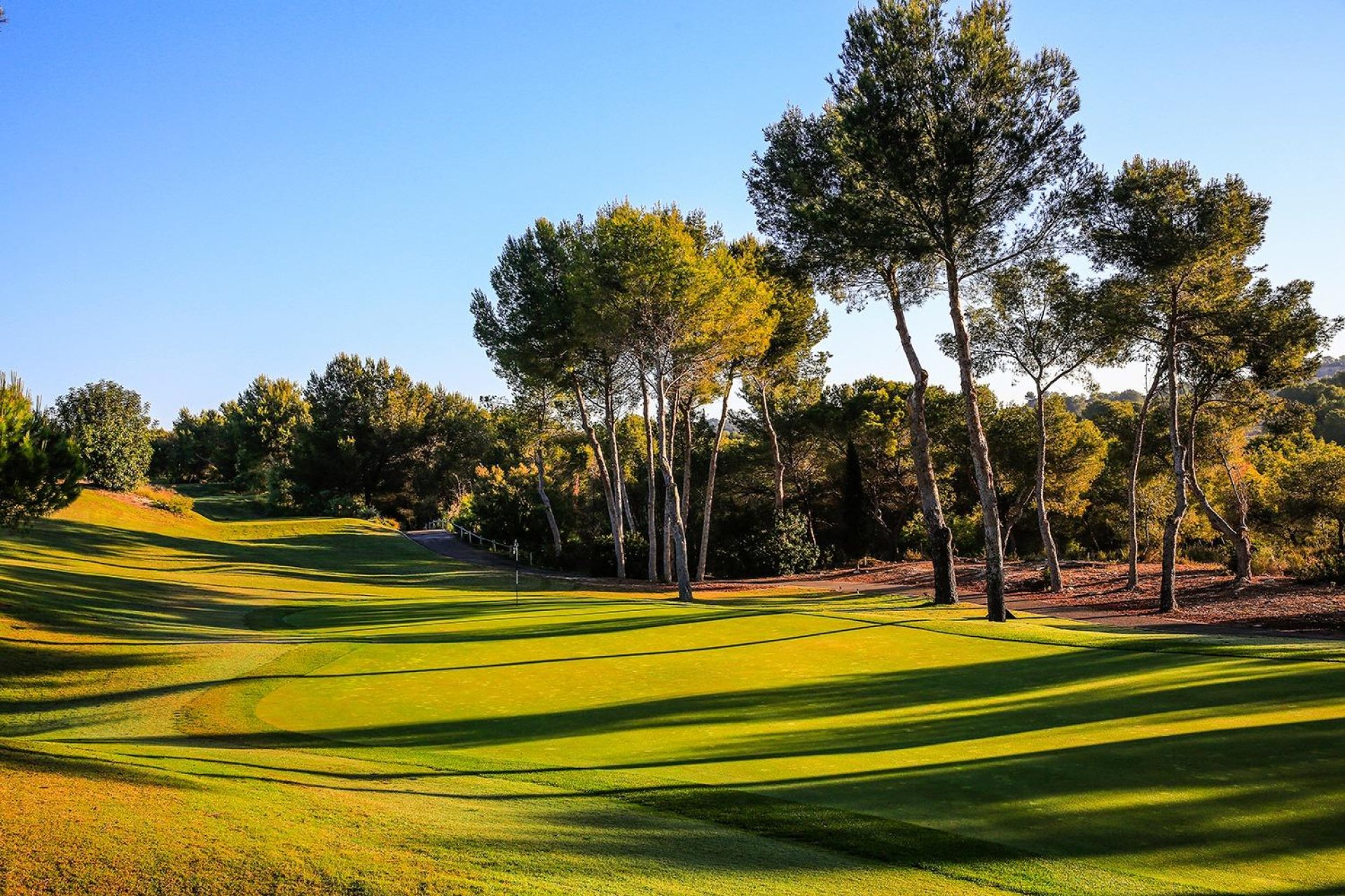 Új építésű - Villa -
Orihuela - Las Colinas Golf