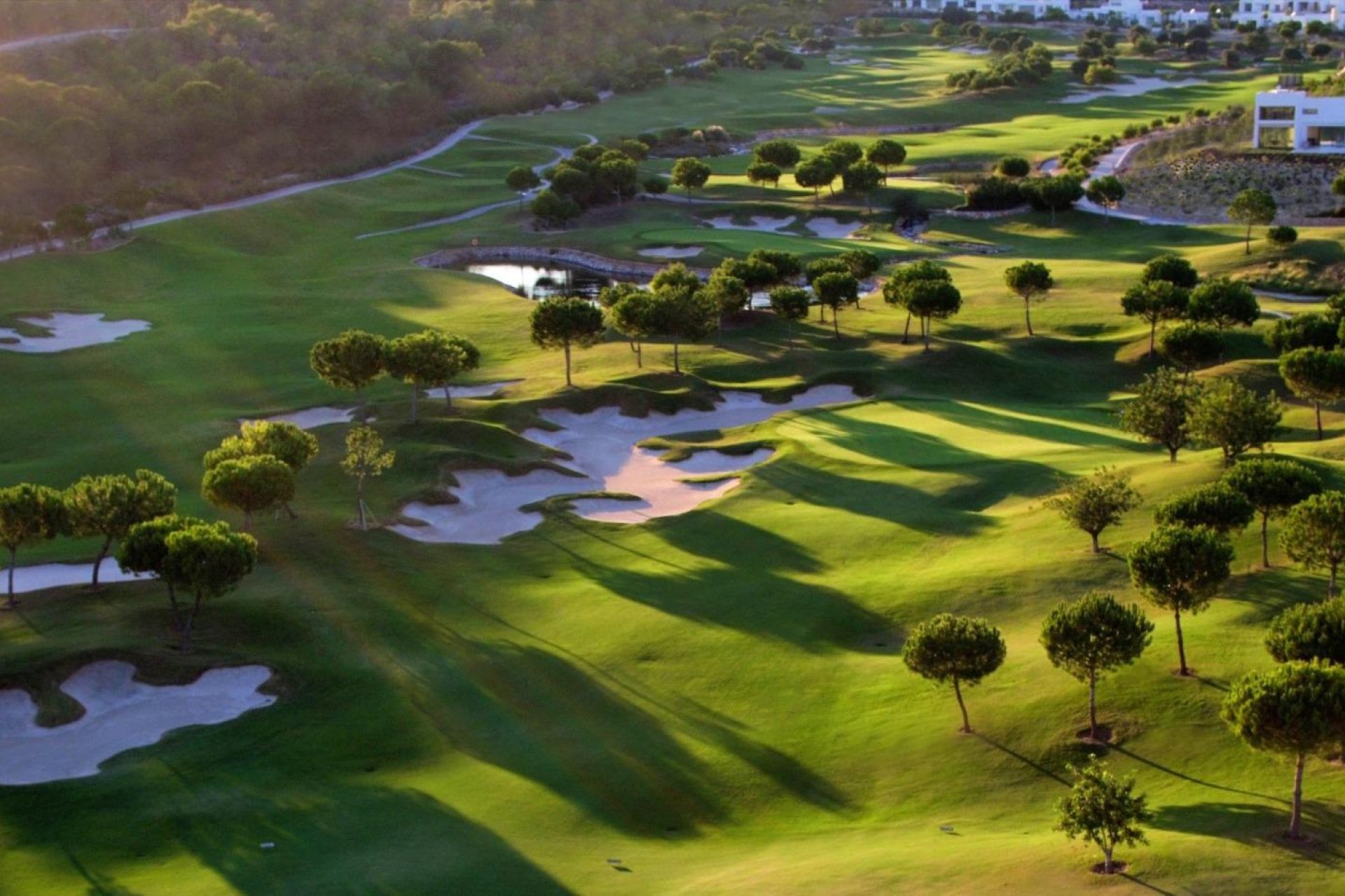 Új építésű - Villa -
Orihuela - Las Colinas Golf