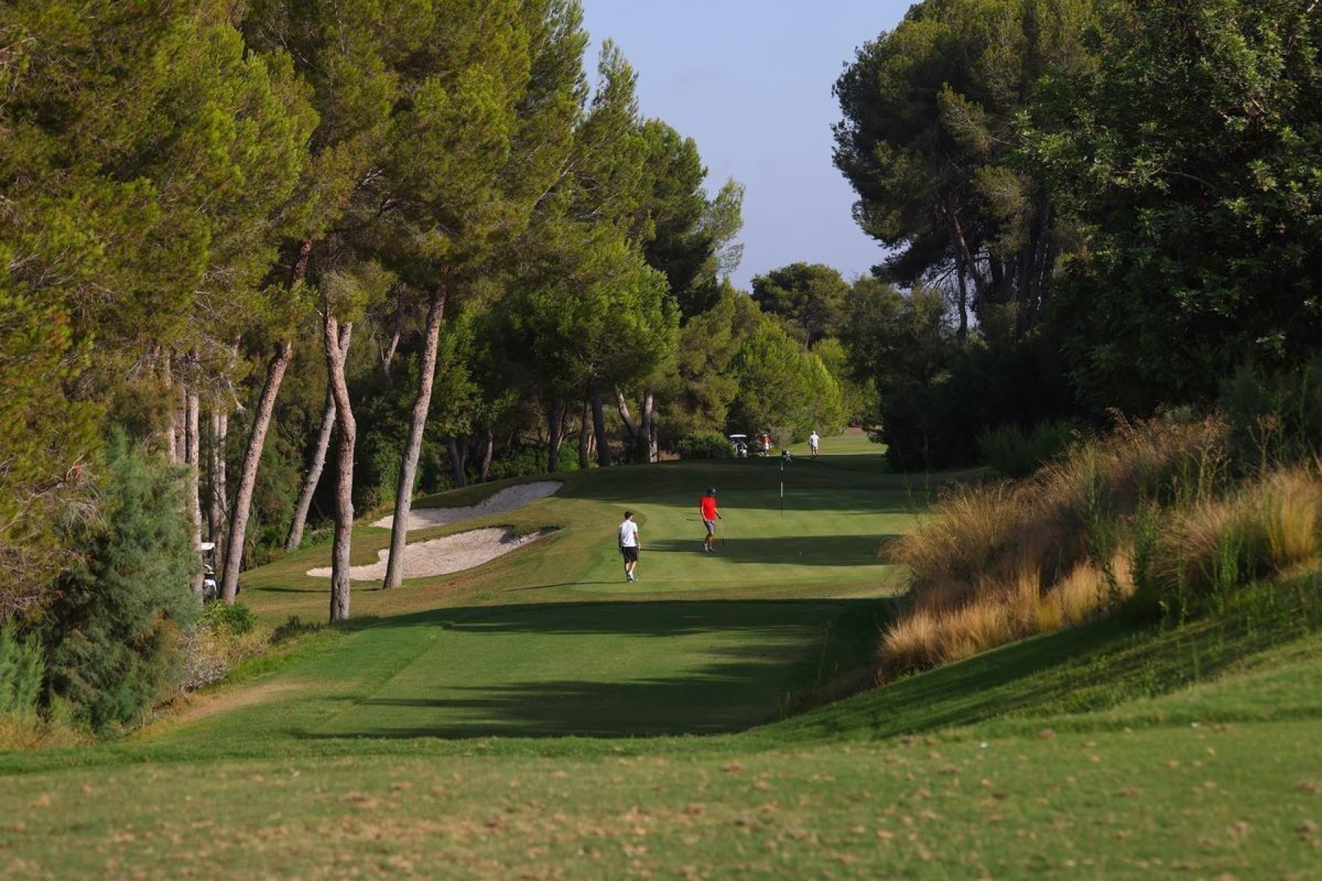 Új építésű - Villa -
Orihuela - Las Colinas Golf